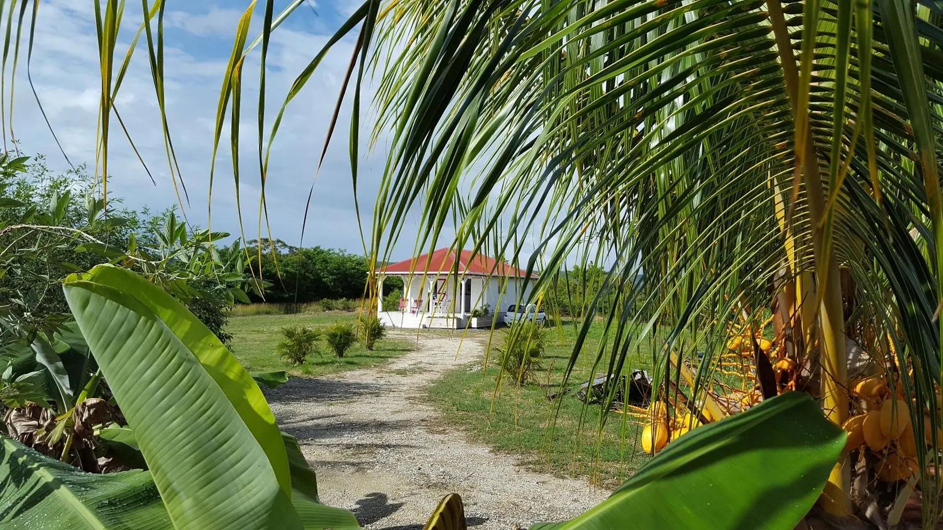 Villa Fleur d'Hibiscus à Saint-Louis