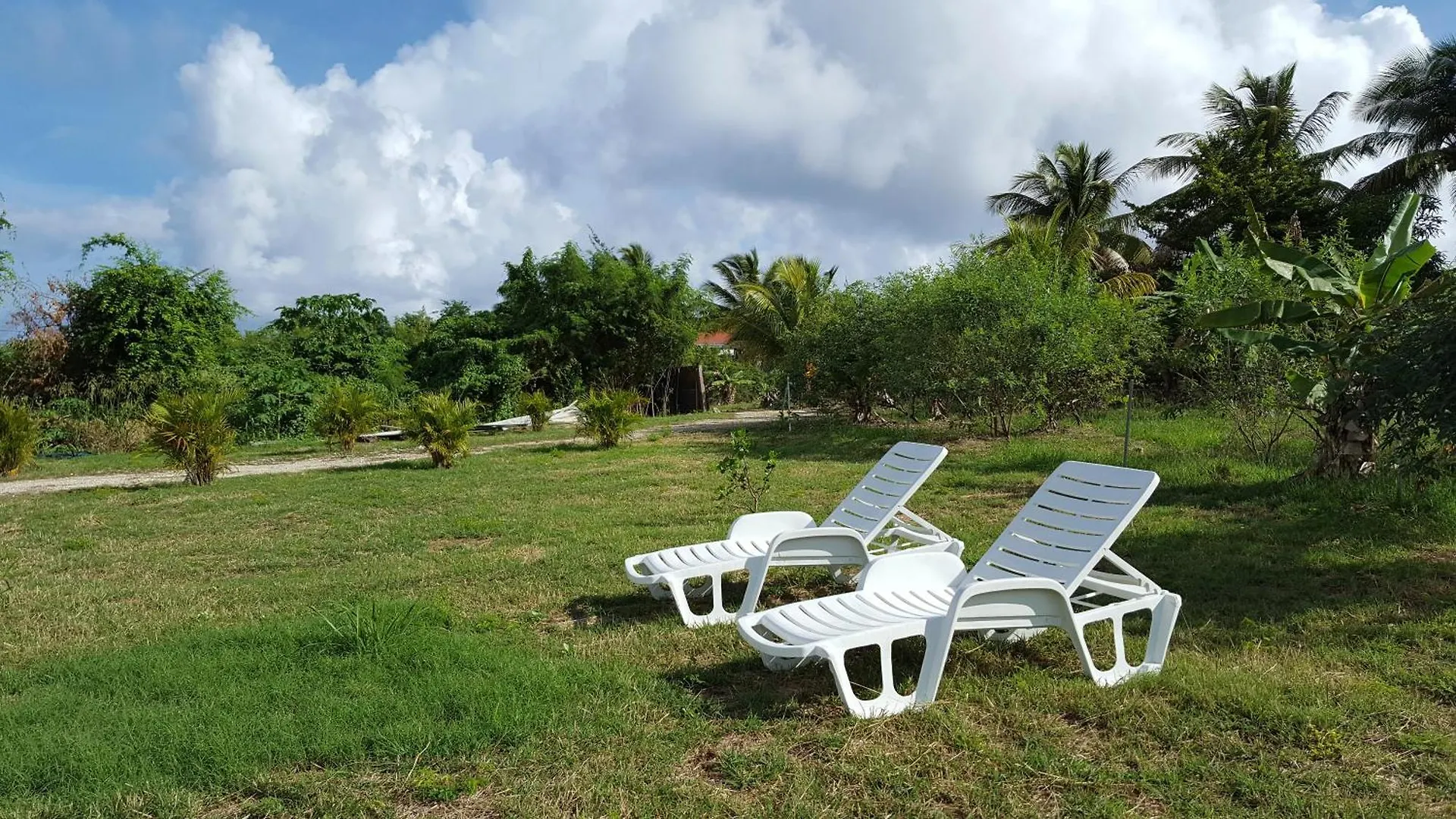 Villa Fleur d'Hibiscus à Saint-Louis Hébergement de vacances